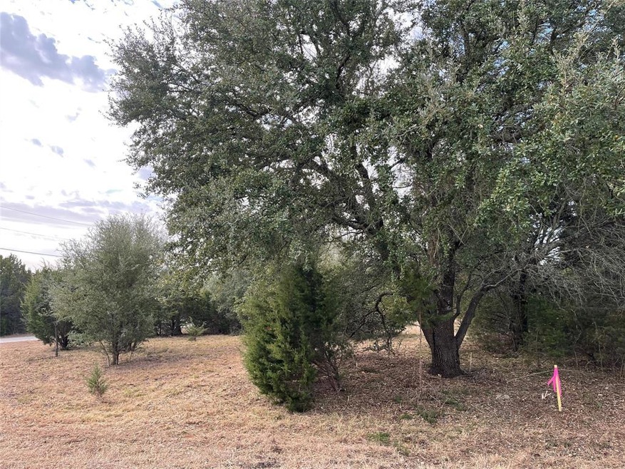 39010 Cedar Park Dr, Whitney, TX 76692 - photo 1