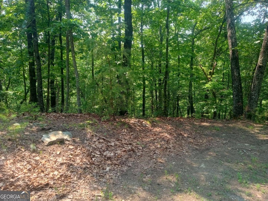 Lt 1227 Hilton Dr unit 1227, Ranger, GA 30734 - photo 1