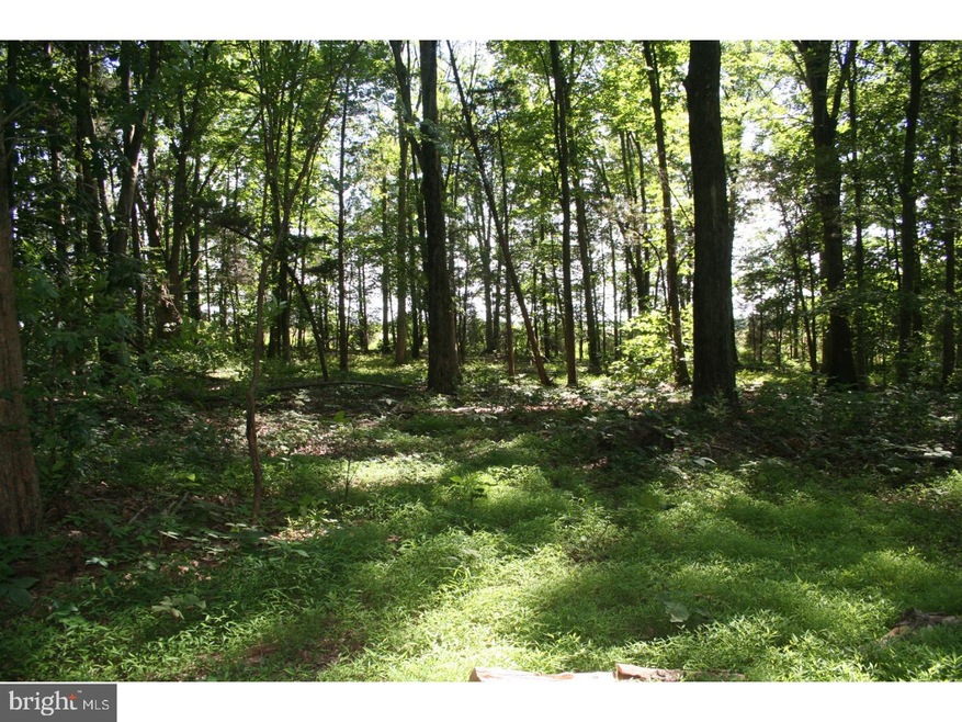 000 Stover Park Rd, Pipersville, PA 18947 - photo 1