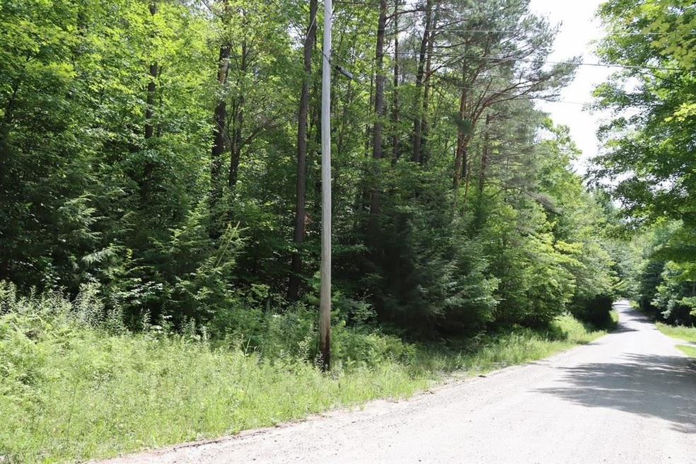 0 Heald Rd unit 4875729, Cavendish, VT 05142 - photo 1