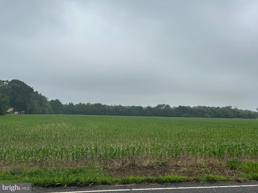 Block 703 Lot 2 Big Oak Rd, Bridgeton, NJ 08302 - photo 1