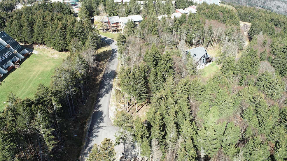 17 First Tracts Blvd, Snowshoe, WV 26209 - photo 1