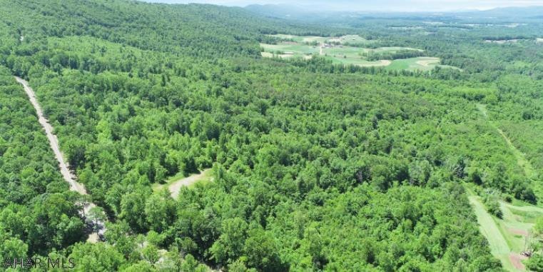 0 Flickerville Rd unit 63458, Warfordsburg, PA 17267 - photo 1