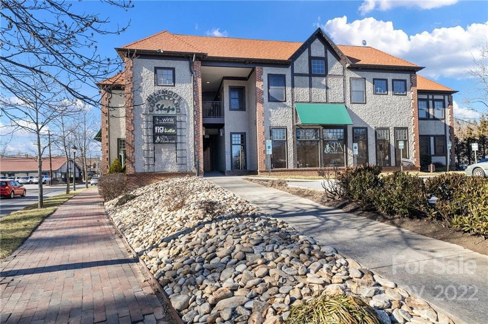 18 Brook St unit 203, Asheville, NC 28803 - photo 1