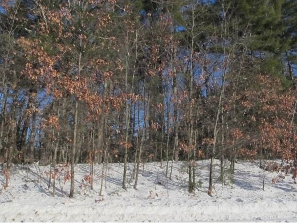 81 Robin Ln, Contoocook, NH 03229 - photo 1