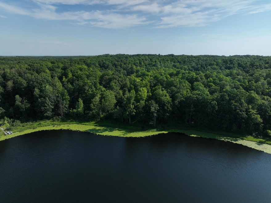 Drone Lake Pic - YES