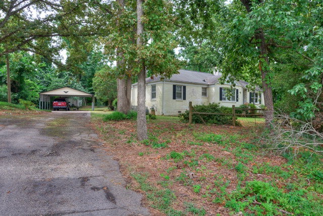 Main View