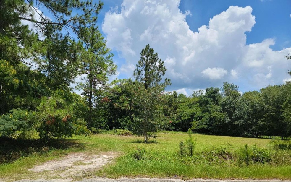 0 E 38th St unit 134290, Tifton, GA 31794 - photo 1