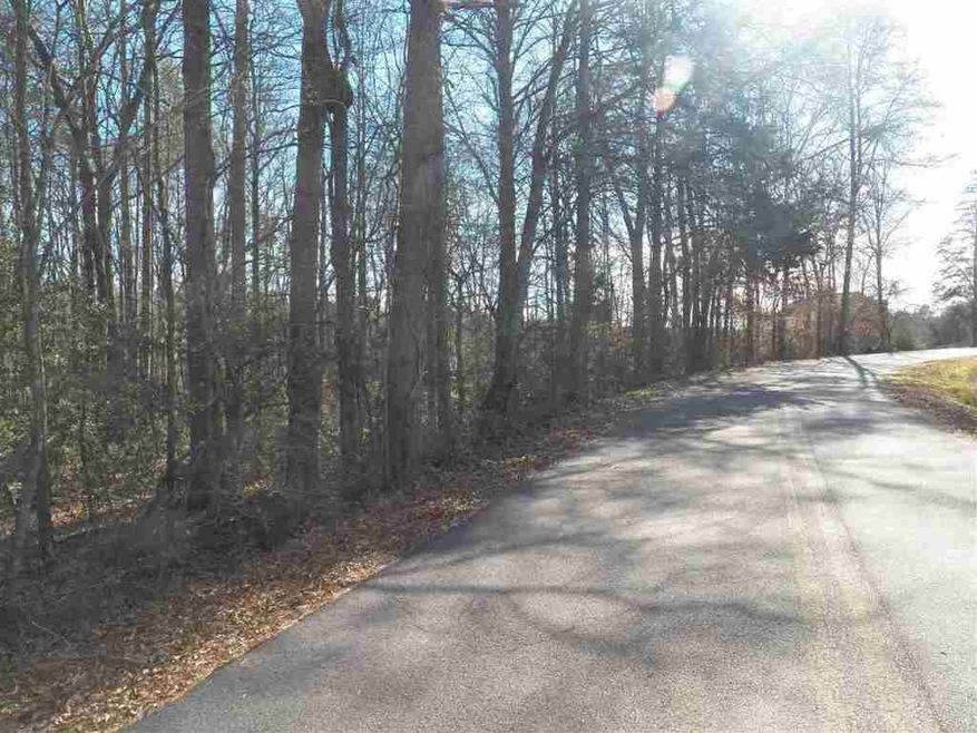 00 Blue Ridge Riding Club Rd, West Union, SC 29696 - photo 1