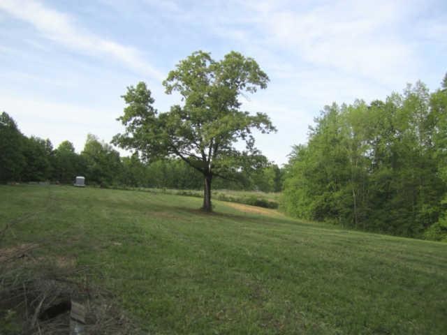 Open Front Field w/Large Oak Tree in the Center & Lots of Beech & Hickory Trees to Attract Wild Life