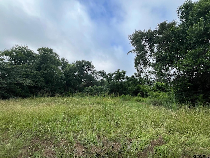 Lot 3 W Dobbs St, Tyler, TX 75701 - photo 1