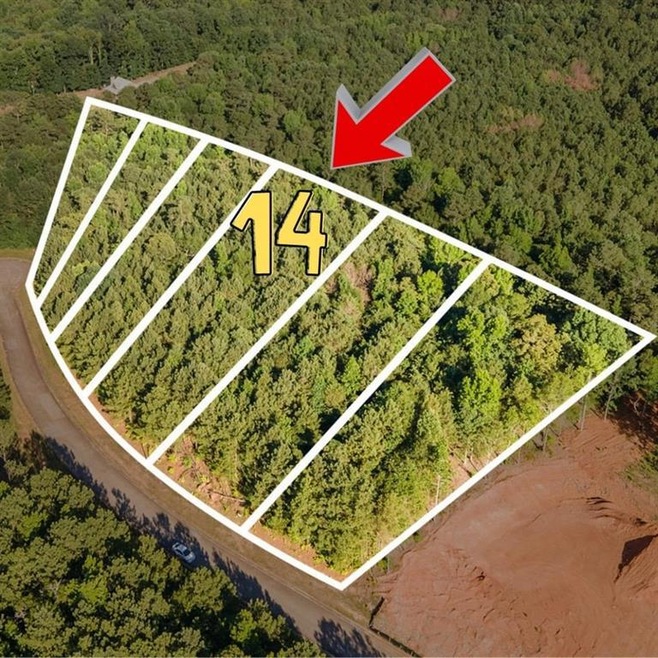 Aerial view featuring a forest view
