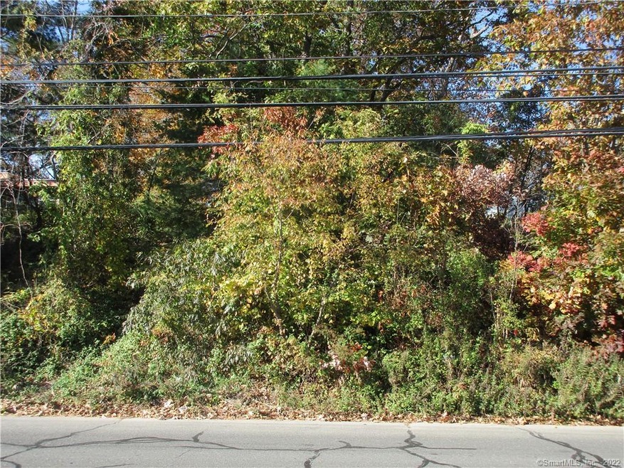 1473 Chopsey Hill Rd, Bridge Port, CT 06606 - photo 1