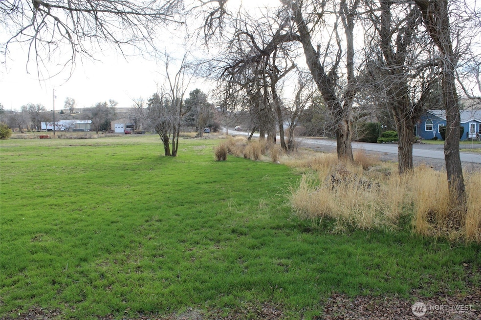 313 W Main St, Lind, WA 99341 - photo 1