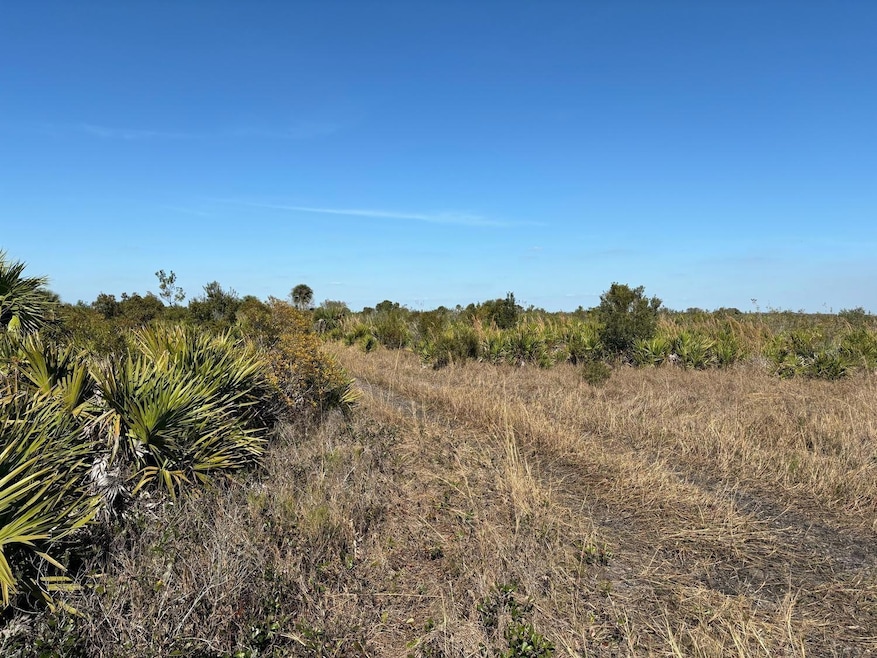 0 NW 316th St unit F10523825, Okeechobee, FL 34972 - photo 1