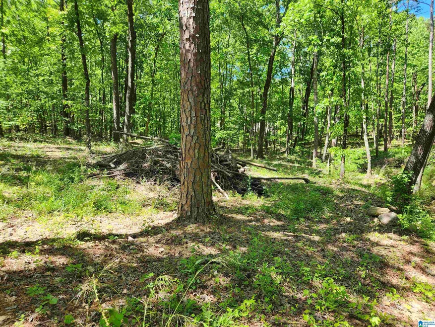 8720 Woodview Ln unit LOT  6-39, Pinson, AL 35126 - photo 1