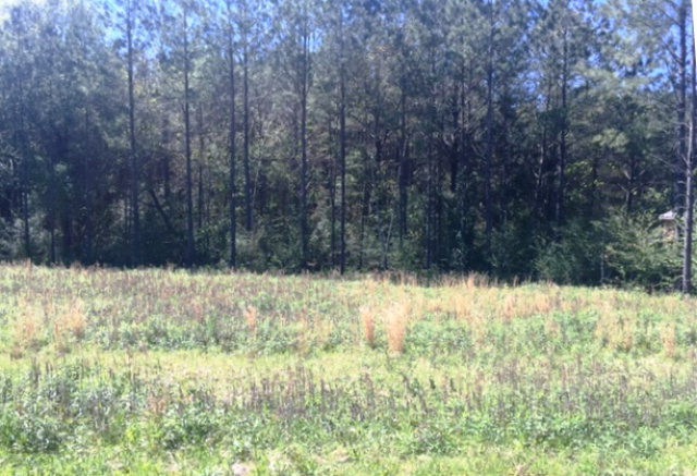 xxx Deer Ridge Rd, McComb, MS 39648 - photo 1