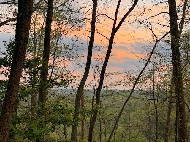 Lot 7 Crown Mountain Ridge, Dahlonega, GA 30533 - photo 1