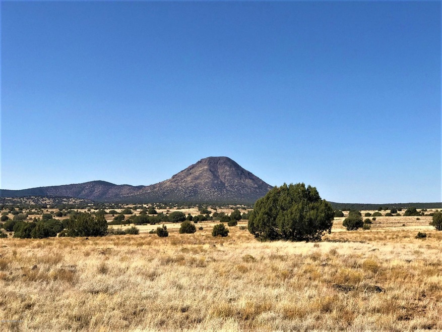 77 Off of Rawhide Ranch, Ash Fork, AZ 86320 - photo 1