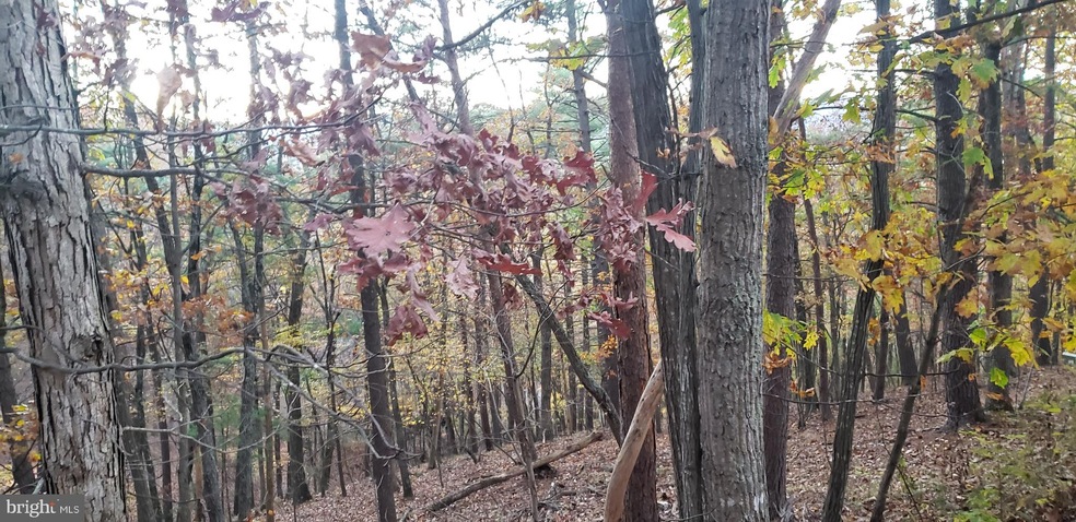 0 Laura Ct unit VASH2001462, Basye, VA 22810 - photo 1