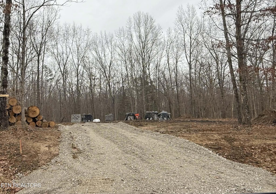 271 Georgee Rd, Jamestown, TN 38556 - photo 1