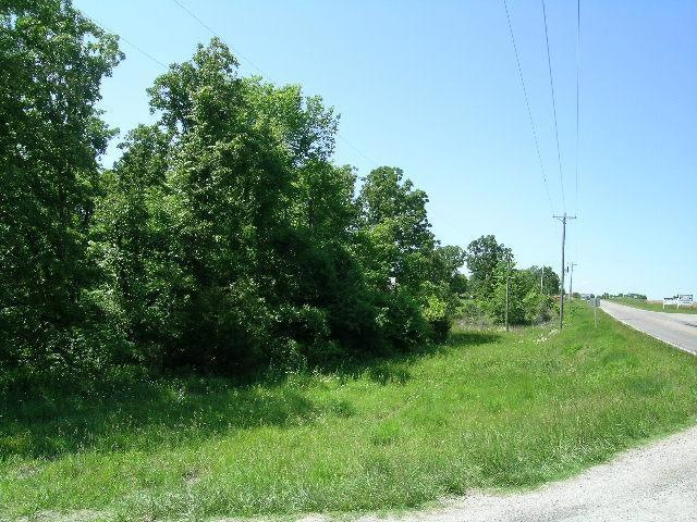 Primary Photo