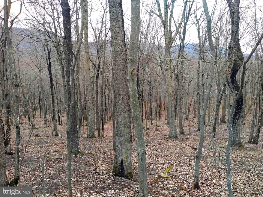 6.42 ACRES Mount Top Rd, Lost River, WV 26810 - photo 1