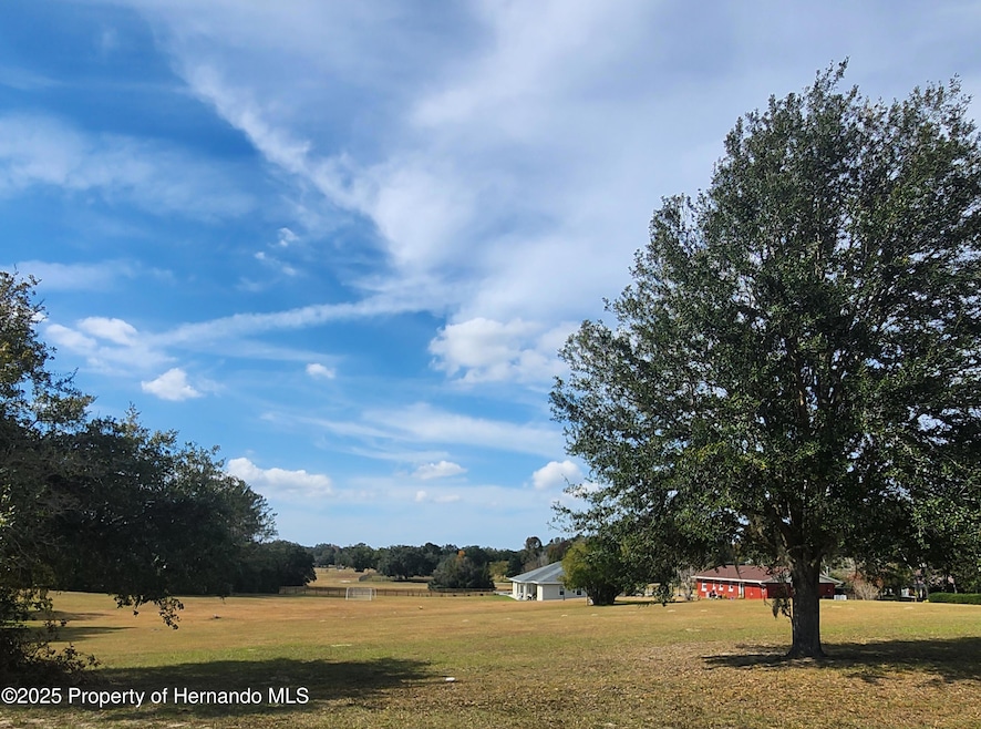 832 E Dunbar Ln, Hernando, FL 34442 - photo 1