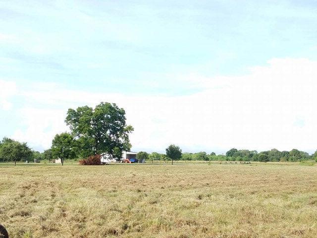 3779 Cr 106 (Skelly Rd), Bay City, TX 77414 - photo 1