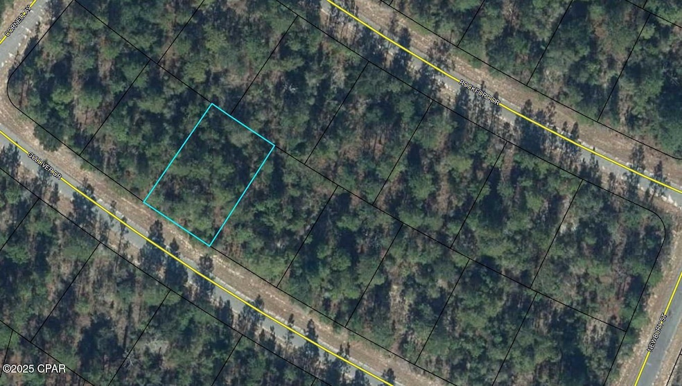 Lot 13 Gulliver Dr, Chipley, FL 32428 - photo 1