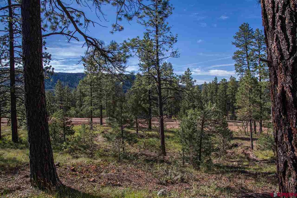 0 Red Canyon Trail unit 707826, Durango, CO 81301 - photo 1