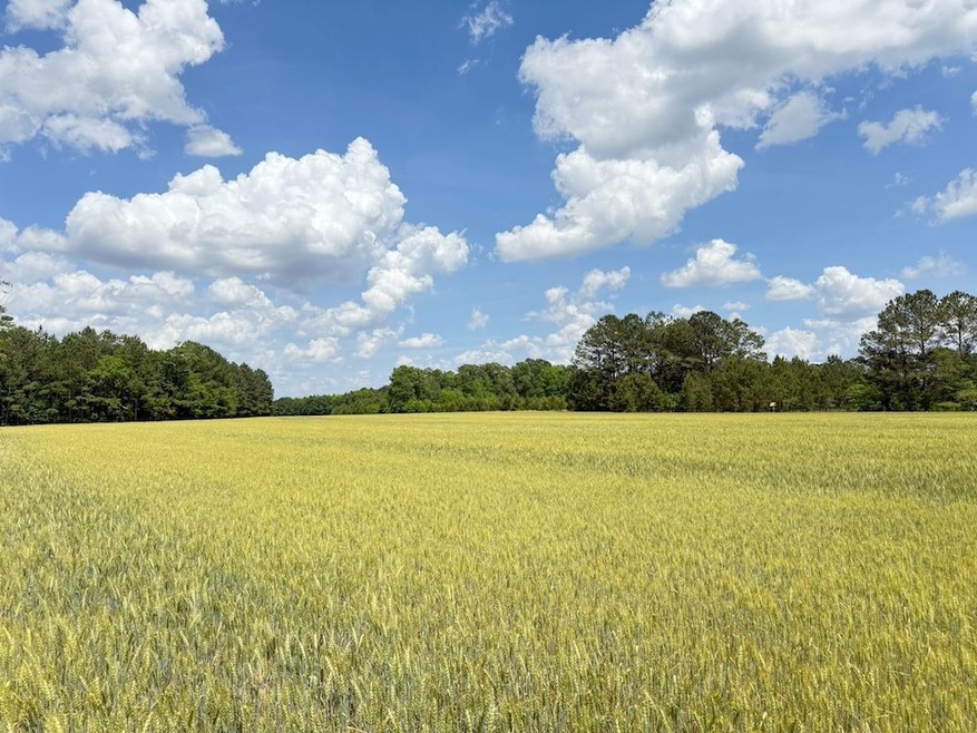 Tbd Hwy 19 unit LotWP001, Nichols, SC 29581 - photo 1