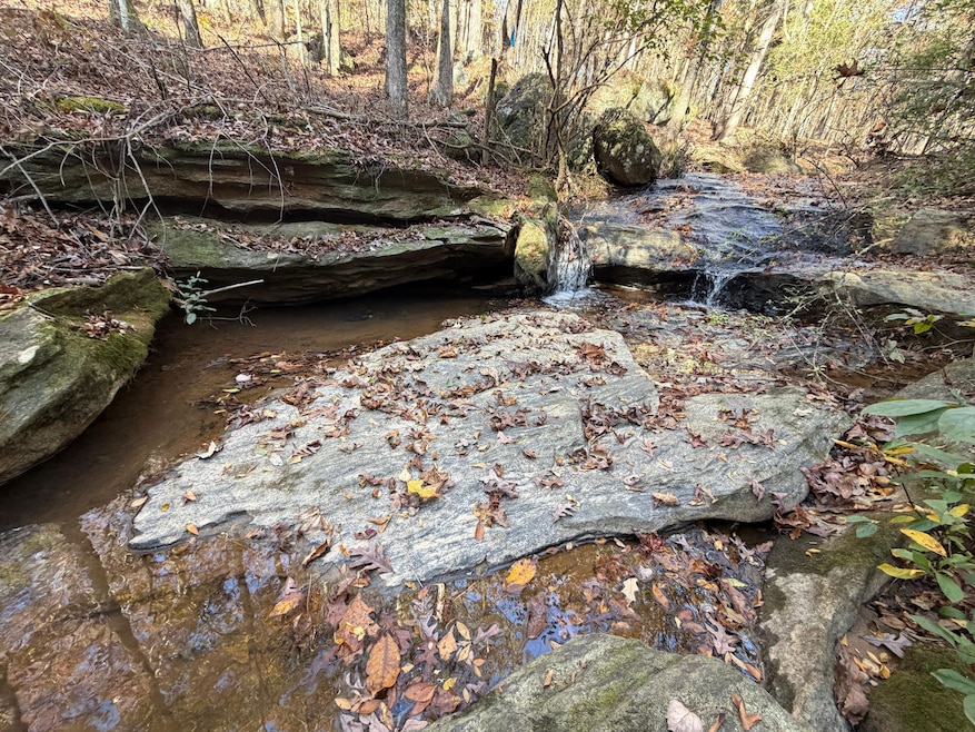 0 Thurman Baccus Rd unit 25621897, Social Circle, GA 30025 - photo 1