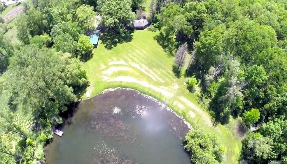 silverbell 1450_2.jpg