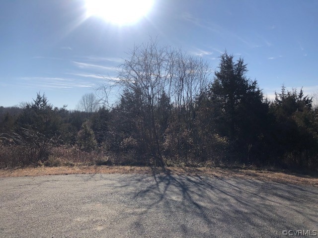 0 Pimlico Ln unit 2101519, Louisa, VA 23093 - photo 1