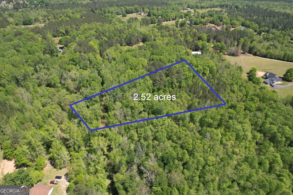 2310 Hollonville Rd, Williamson, GA 30292 - photo 1