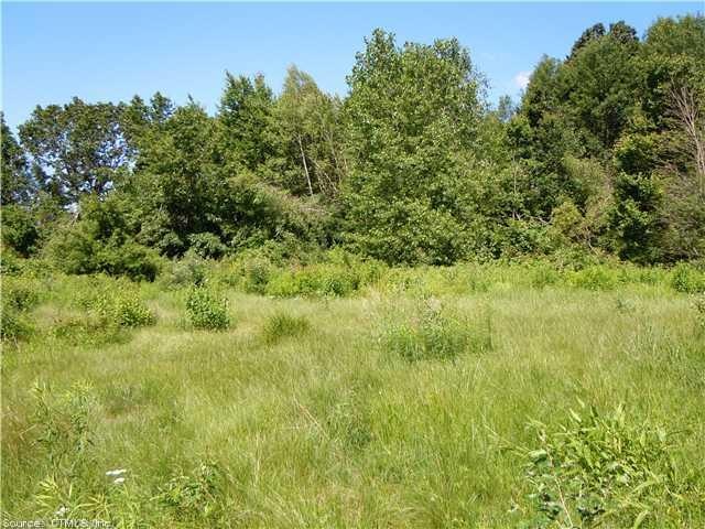 49 Blakeman Rd, Plymouth, CT 06782 - photo 1