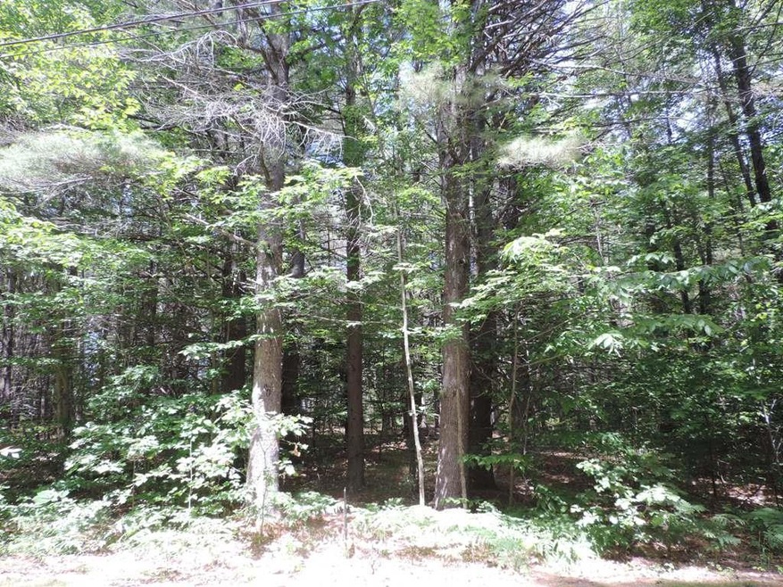Lot 11 Whitetail Ridge, Bridgton, ME 04009 - photo 1