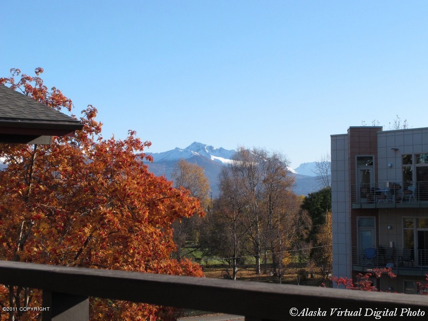 View from the balcony