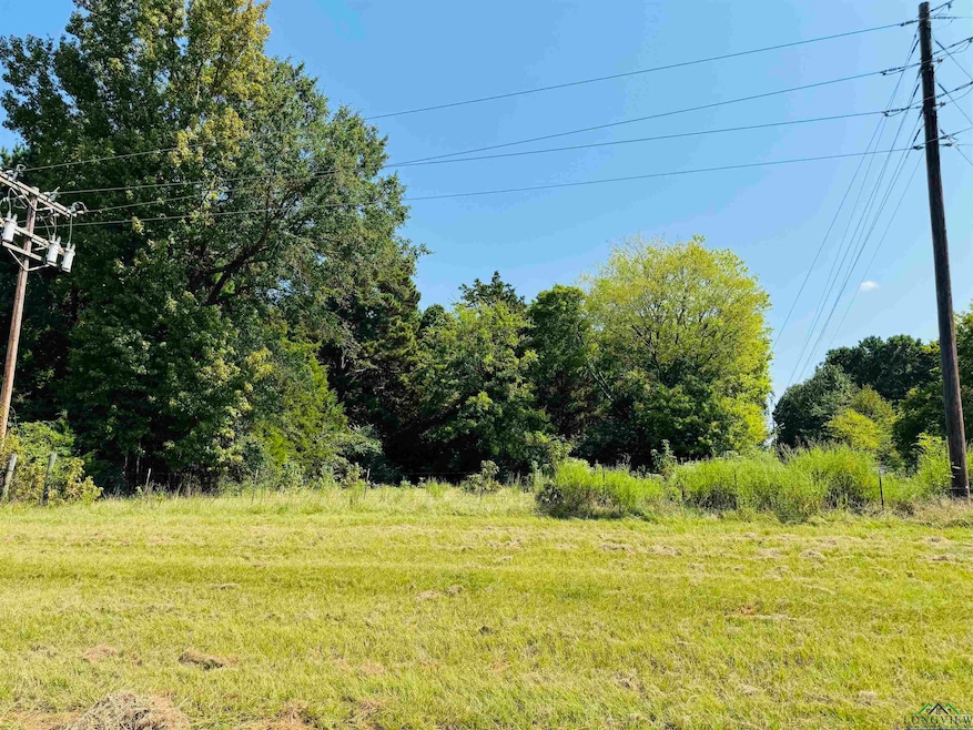 100 Private Road 1971 unit 120 Private Rd. 1971, Gladewater, TX 75647 - photo 1