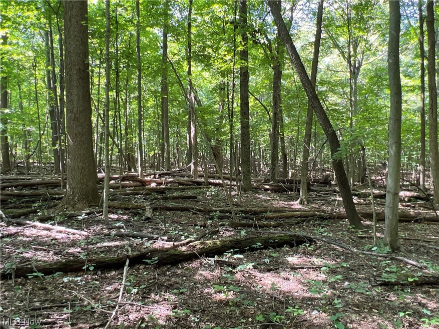 0 Ruff Rd unit 4496008, West Salem, OH 44287 - photo 1