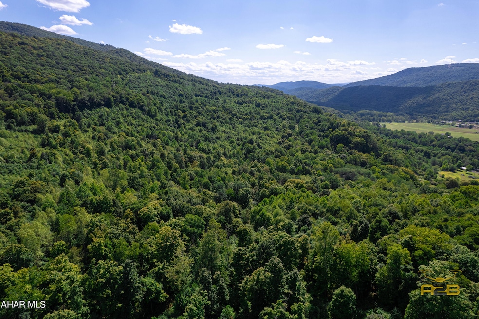 288 fossilville rd land-12