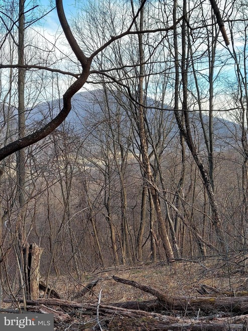 0 Old Ski Lodge Ln unit VARP107716, Washington, VA 22747 - photo 1