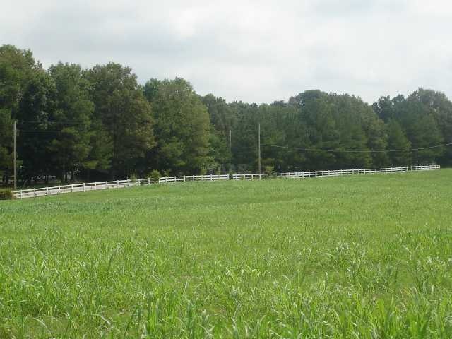 A white picket fence beautifully frames front access of property as well as adjoining properties