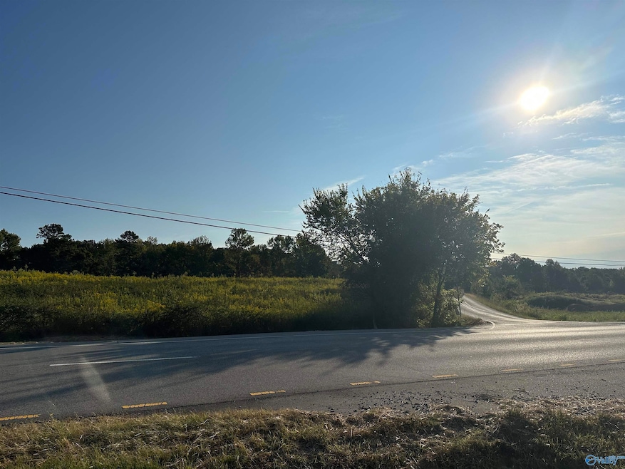 2 acres +/- Highway 231, Laceys Spring, AL 35754 - photo 1