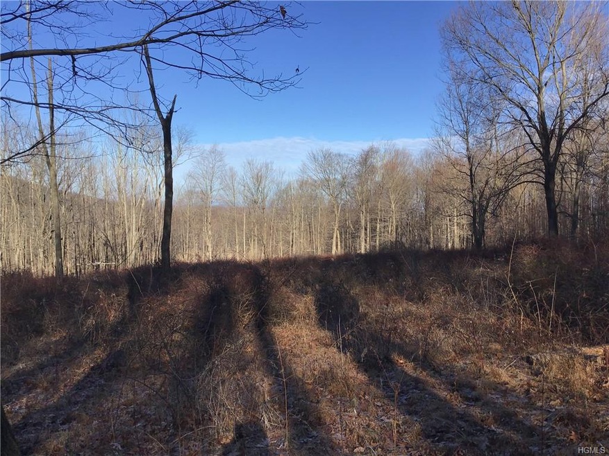 84 Hunter Rd, Chester, NY 10918 - photo 1