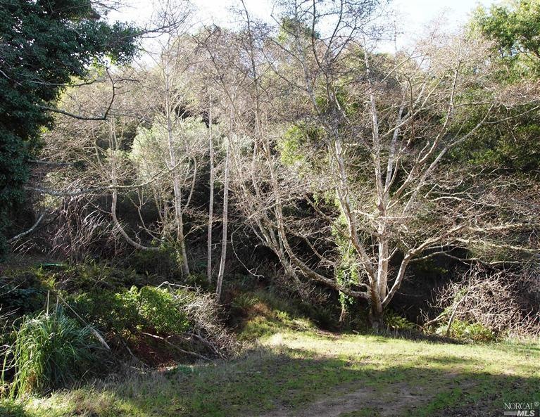 One of the sunny, flat, areas.