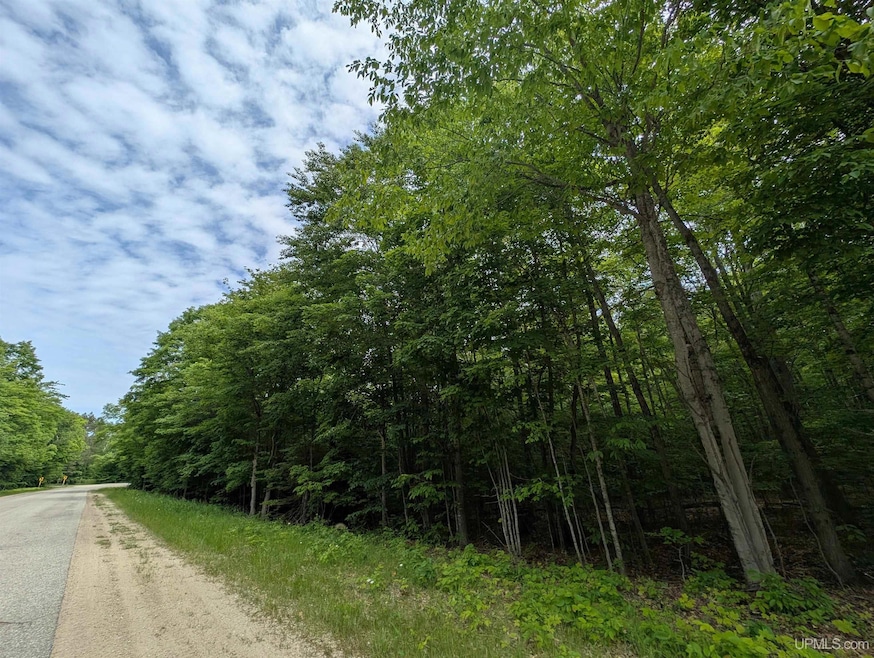 For Sale $40,000 • Co-Listing Agent