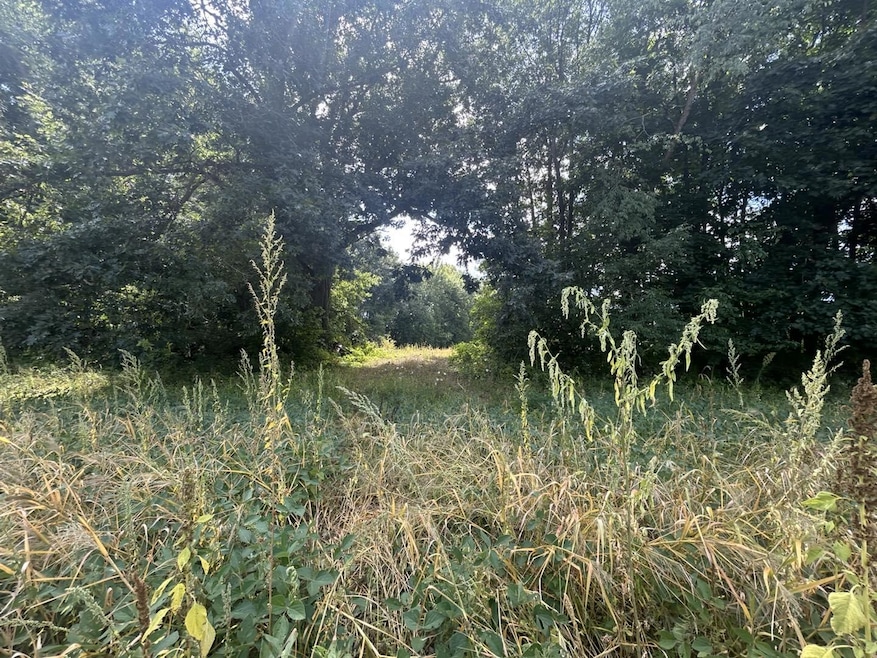 0 V/L Michigan 66, Athens, MI 49011 - photo 1