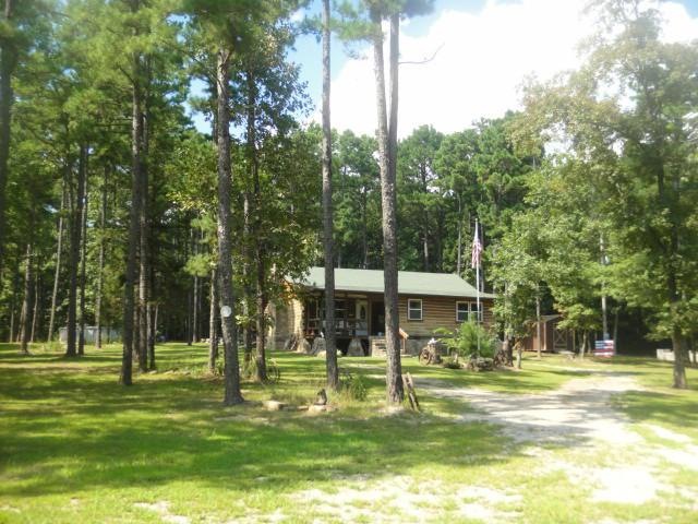 Main View